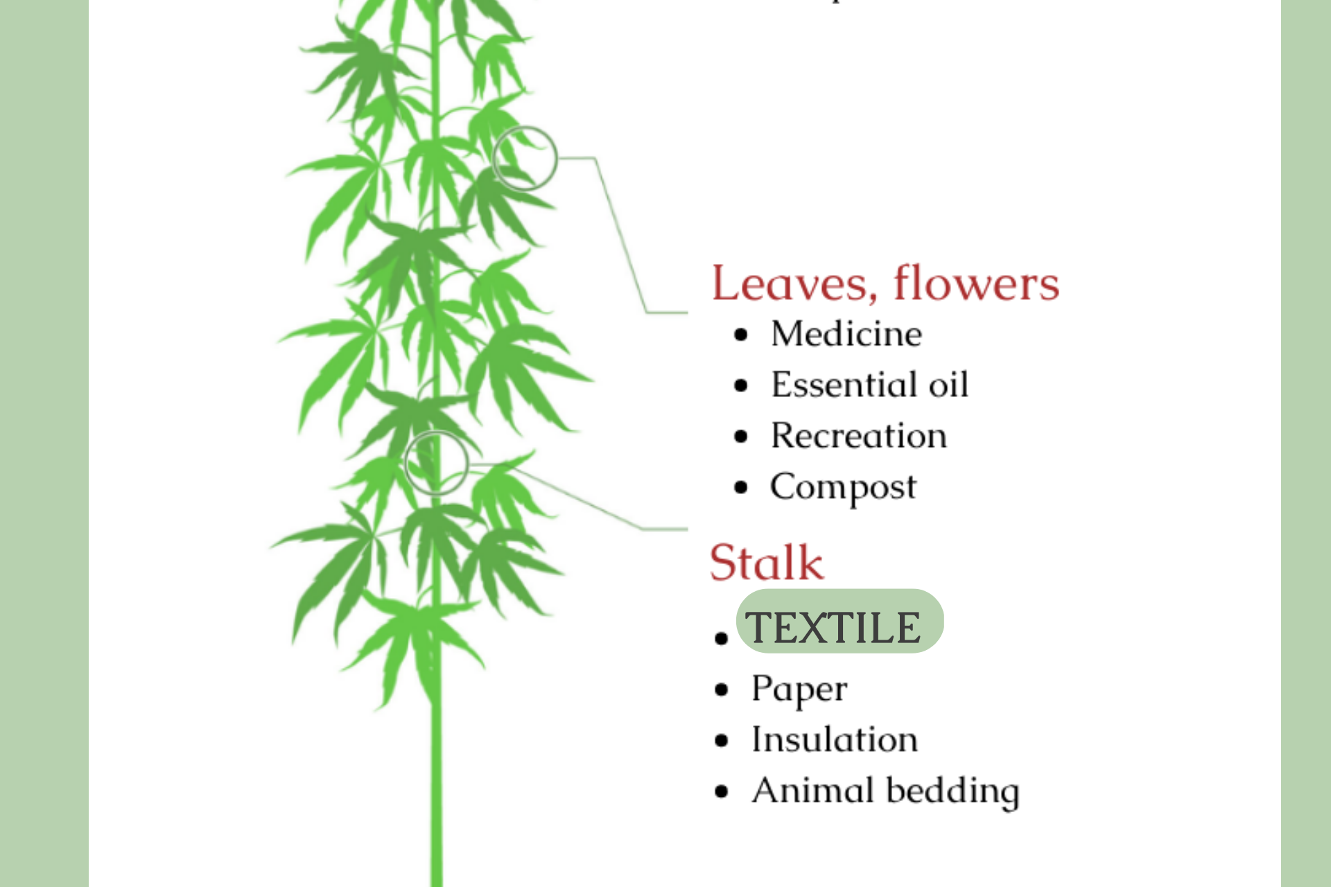 Hemp fiber